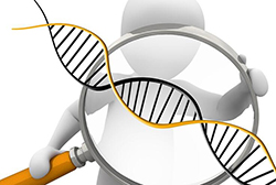 舟山医院DNA鉴定如何做(2023最新)